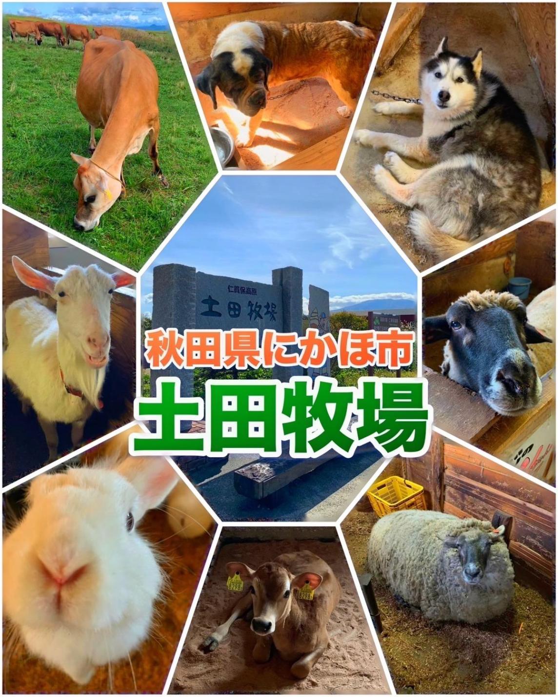 Hotel Dolphia-Adult Only 大仙市 外观 照片