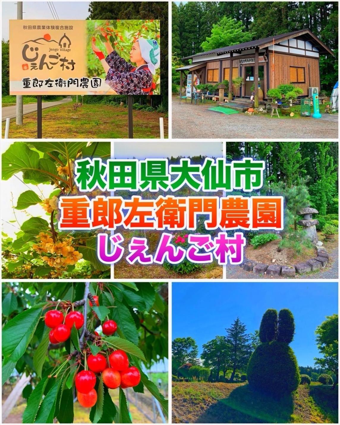 Hotel Dolphia-Adult Only 大仙市 外观 照片