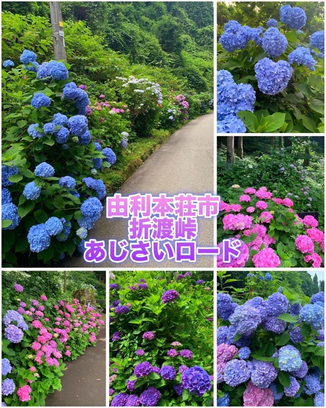 Hotel Dolphia-Adult Only 大仙市 外观 照片