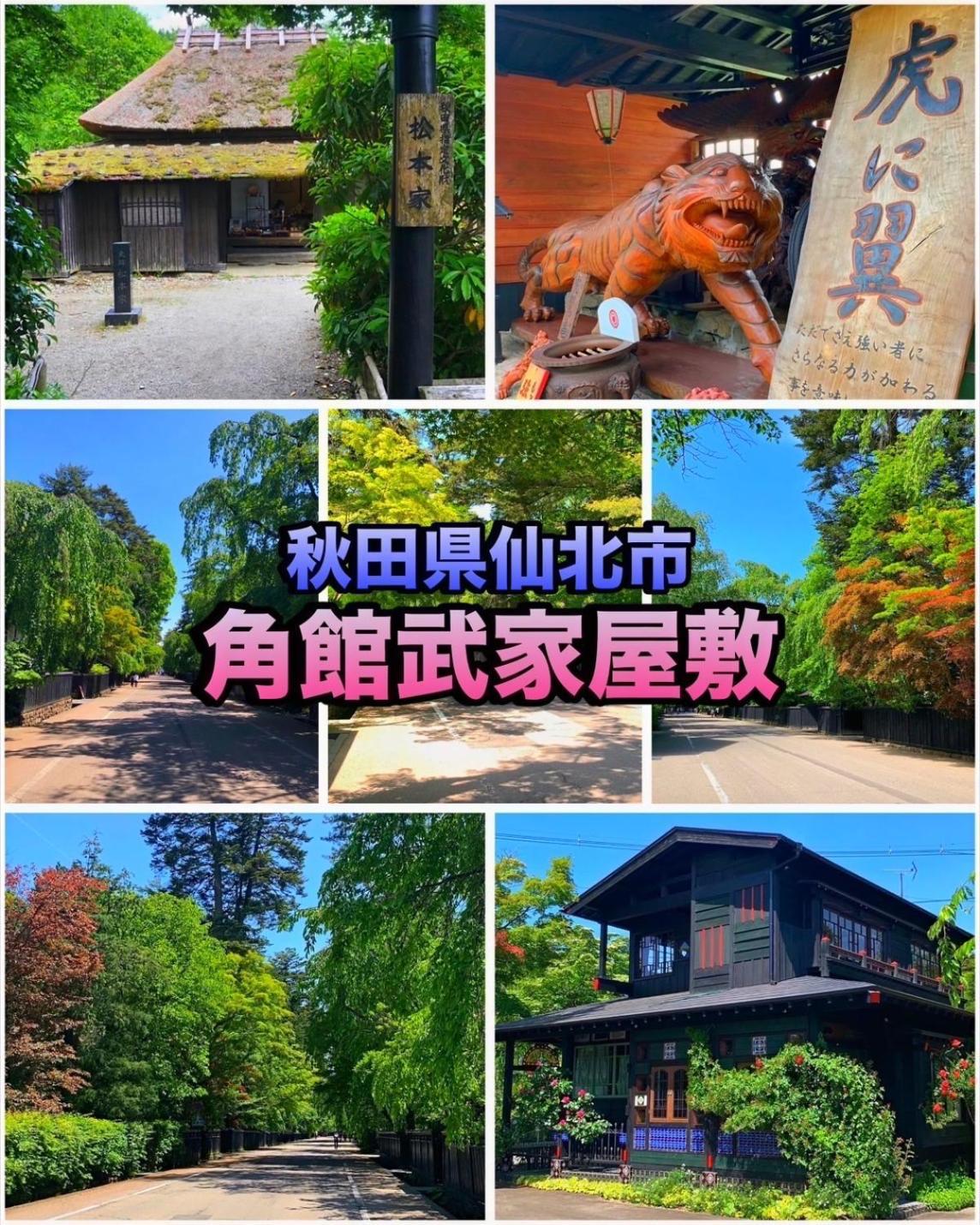 Hotel Dolphia-Adult Only 大仙市 外观 照片