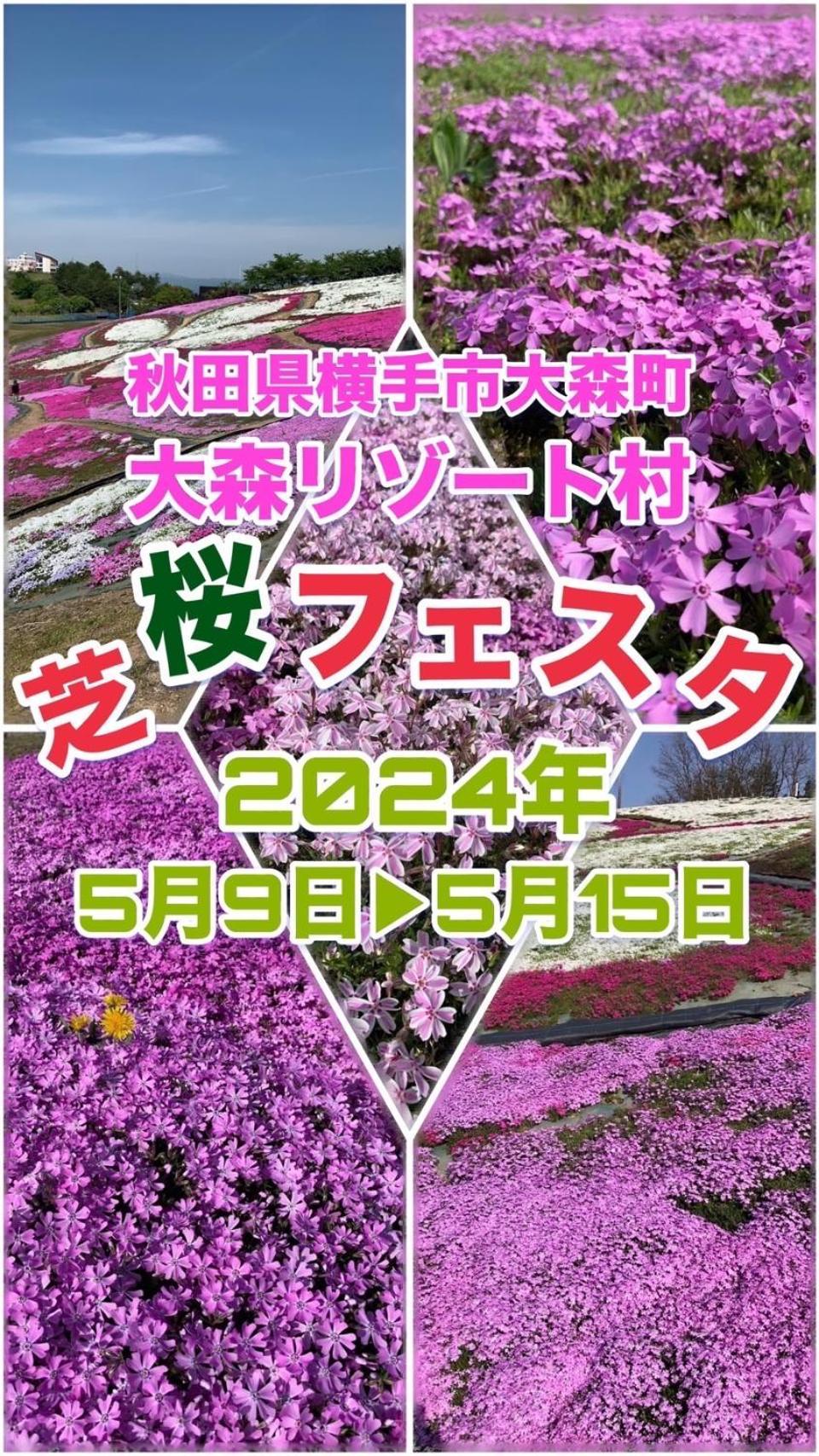 Hotel Dolphia-Adult Only 大仙市 外观 照片